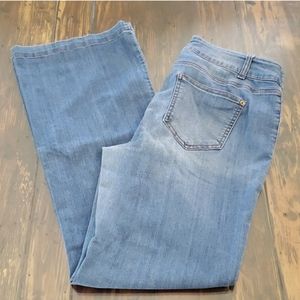 Maurices jeans